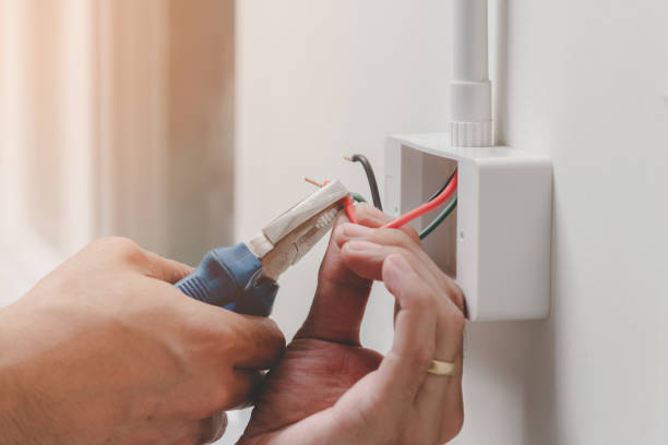 Best Electrical Panel Upgrades  in Toledo, OR